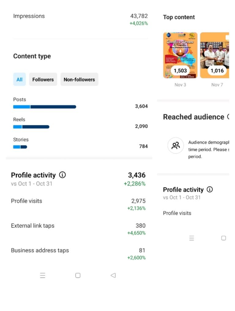 Maya Traders Social Media Instagram Performance Screenshot